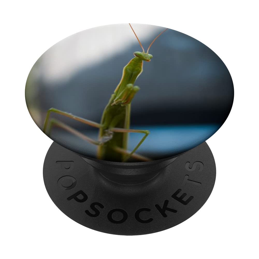 Prey Mantis PopSockets Swappable PopGrip