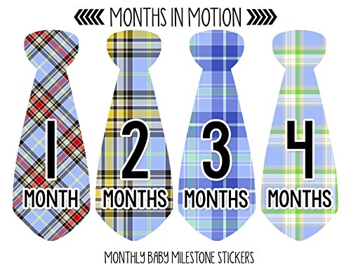 Months in Motion Monthly Baby Stickers Necktie Tie Baby Boy Months 1-12 (743)