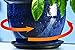 Bosmere S41110 Down Under Plant Turner, Heavy-Duty Rotating Plant Stand, Protects Decks, Wood Floors, Carpet, Tile, 250lbs Capacity, 12-Inch, Black