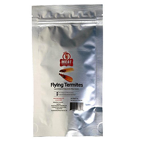 Meat maniac salted flying termites
