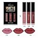WensLTD 3PCS/Set Waterproof Matte Liquid Lipstick Cosmetic Sexy Lip Gloss Kit (E)