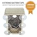 Wooden Bird Nest Box by PetsN’all | Clear View Window Bird Nest for Bird Watching | Heavy-Duty Suction Cups, Angled Roof, Drainage Holes
