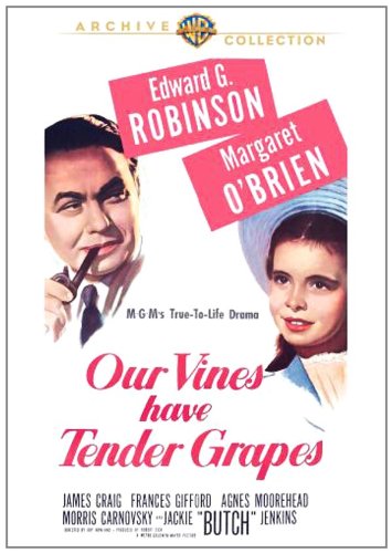 Our Vines Have Tender Grapes - //coolthings.us