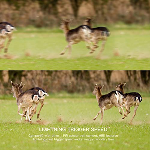 5 APEMAN+Camera+Wildlife+Detection+Waterproof