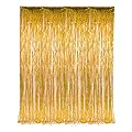 Langxun Thickened Aluminum Foil Fringe Curtains | Mylar Photo Booth Background for Party, Prom, Birthday, Wedding, Event Decorations