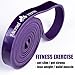 Micrael Home Heavy Duty Pull up Assist Band, Stretch Resistance Band for Powerlifting, assisted pull ups, chin ups, muscle ups, ring dips home gym or physical therapy bands - Purple Band