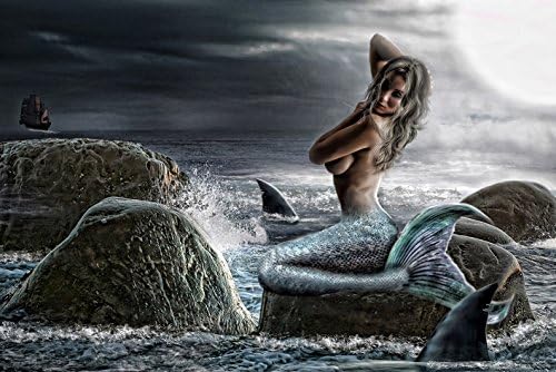 16"x24" Hd Canvas Print Home Decor Art Painting (No Frame), Mermaid Under the Moonlight