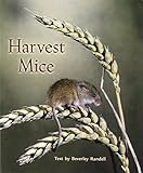 Rigby PM Benchmarks: Leveled Reader Harvest Mice