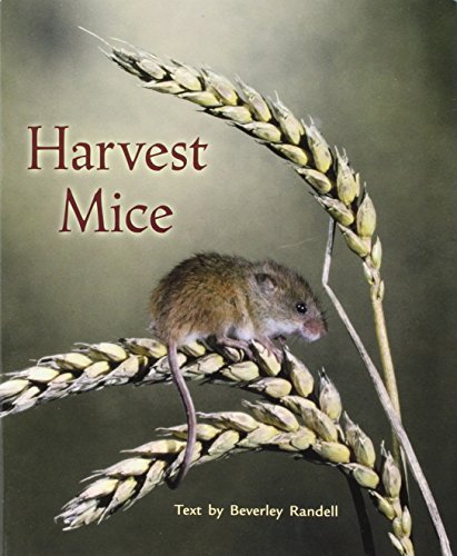 Rigby PM Benchmarks: Leveled Reader Harvest Mice