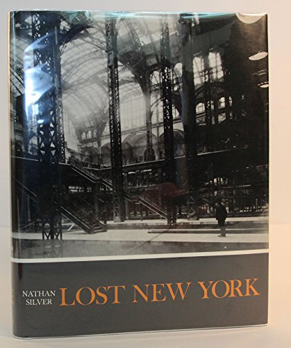 Lost New York by Nathan Silver