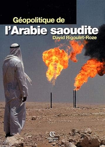 Download Géopolitique de l'Arabie saoudite PDF