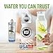 Everpure H-54 Drinking Water Filter System (EV9252-67). Quick Change Cartridge System. Commercial Grade Water Filtration and Lead Reduction