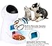 Pet Feeder,Natural Gravity Feeder Automatic Dog