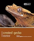 Crested Gecko (Pet Expert) by