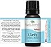 Plant Therapy Clarity Essential Oil Blend 10 mL (1/3 oz) 100% Pure, Undiluted, Natural Aromatherapy