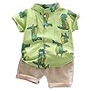 95sCloud 2 stuks baby jongens meisjes zomer herfst casual kleding set korte mouwen dinosaurus T-shirt + korte broek…