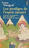 Prodiges de L'Esprit Naturel. L'Essence Du Dzogchen Dans La Tradition Bn Originelle Du Tibet(les) (E by 
