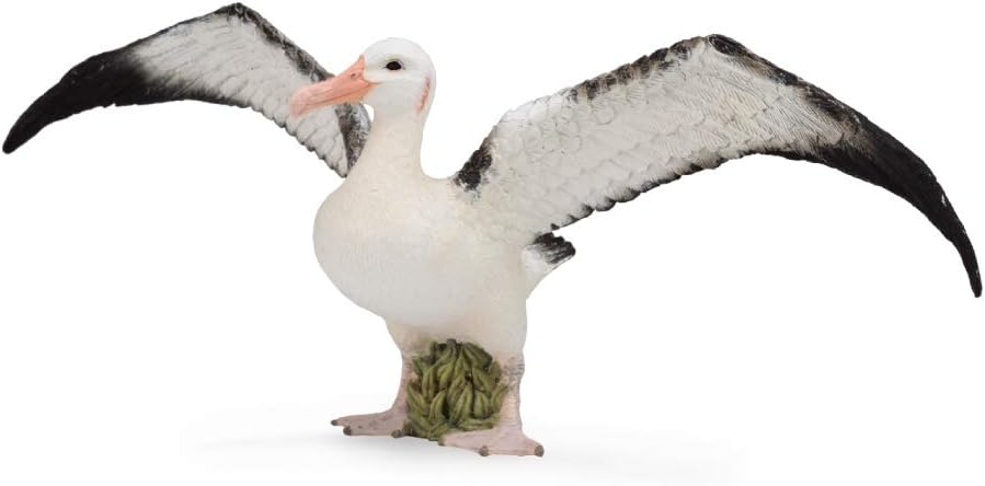 CollectA Wandering Albatross, Multicolor