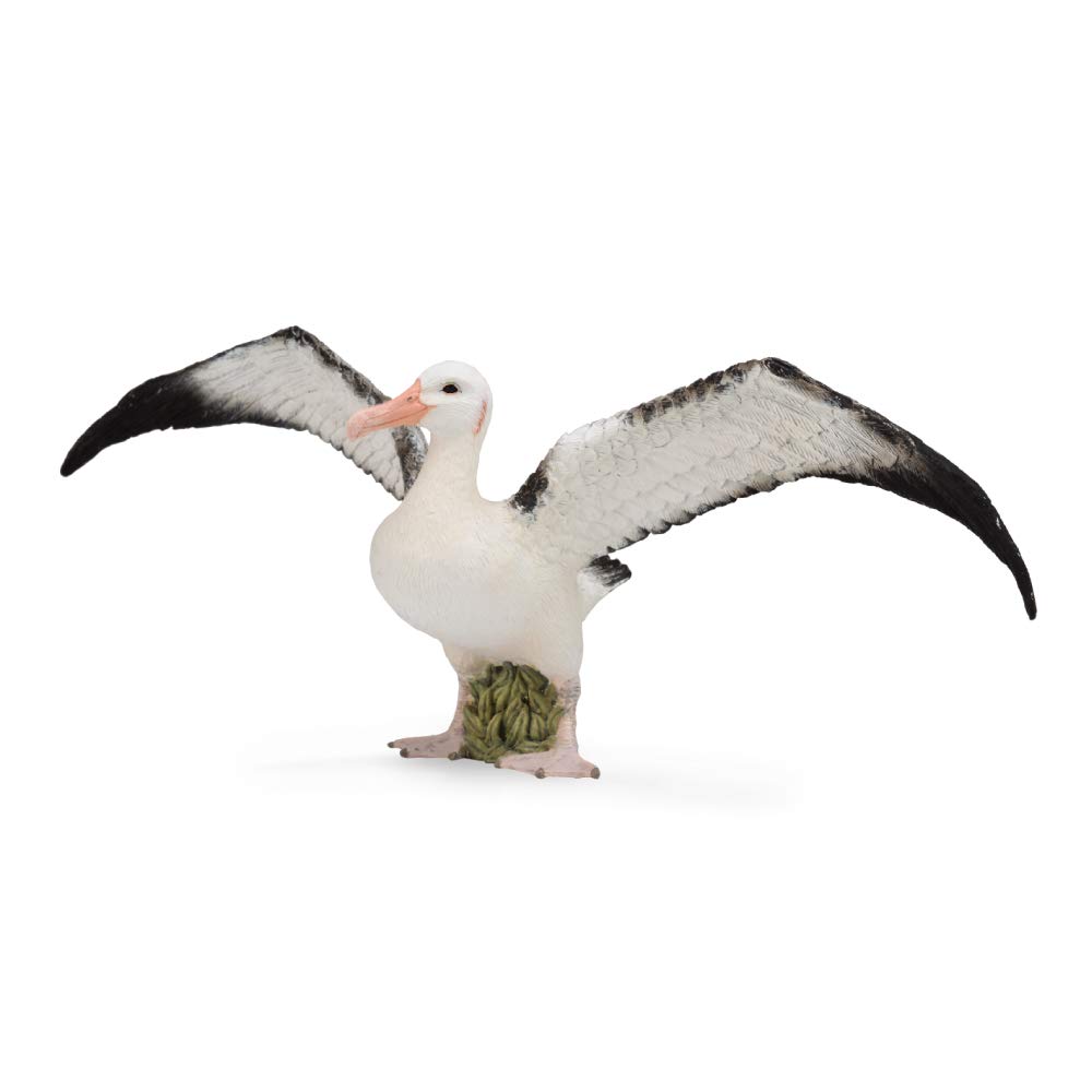 CollectA Wandering Albatross