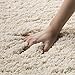 SAFAVIEH California Shag Collection Area Rug - 6'7