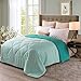 Exclusivo Mezcla Lightweight Reversible Down Alternative Quilted Comforter Duvet for All Seasons, Twin Size, Teal Green