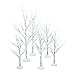 Department 56 Village Winter Birch Wrapped Wire (Set of 6) primary
