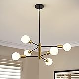 RUIYEY Modern Chandeliers for Dining Room, Black