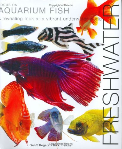 Focus on Aquarium Fish : Freshwater by Geoff Rogers, Nick Fletcher