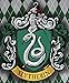Nordic Souvenirs Harry Potter Style Banner - Slytherin Flag 43in x 16in Wall Scroll - Ready to Hang - Perfect Barware Man Cave Gift - Unique HP Collectible Accessories
