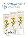 Organic Urtical Cream 3 Pack