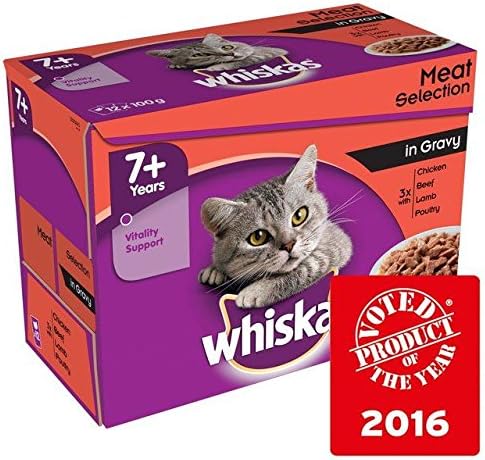 chocolate working cocker