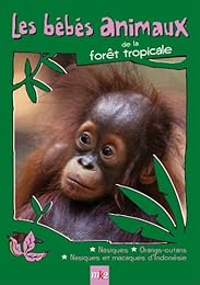 Les Bébés Animaux Des Forêts Tropicales