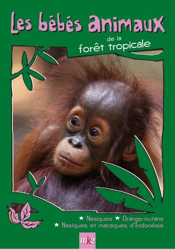 Les Bébés Animaux Des Forêts Tropicales
