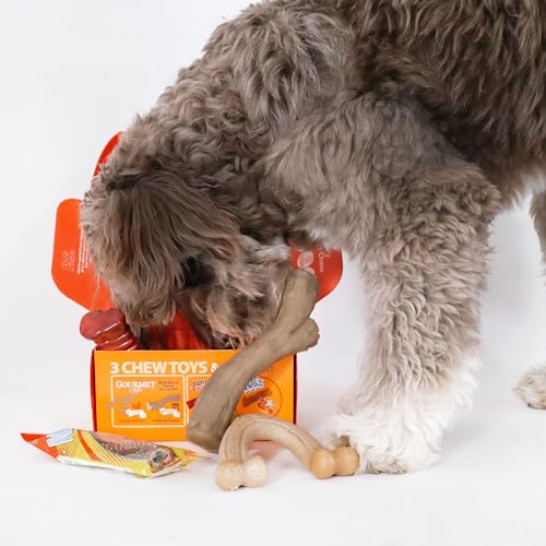 Nylabone Dog Gift Box for Large Dogs 3 Strong Chew Toys and 1 Dog