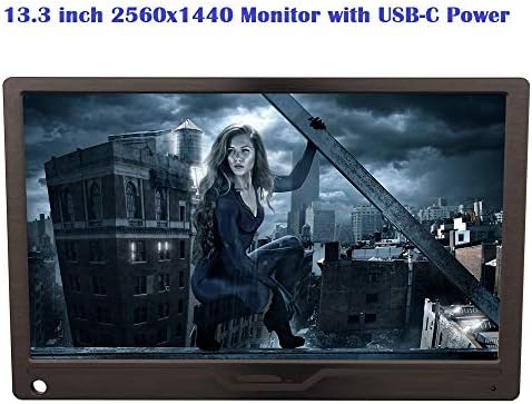 S13 13.3 Inch 2560x1440 IPS Slim Portable 2K LCD Monitor with Dual Mini HDMI/Type-C/Audio Interfaces, 8.5mm Thickness 565g, 5V 2A USB-C Power, Brand LCD Screen, Full Aluminium Alloy