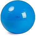 GYMNIC Physio Exercise Ball