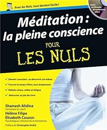 Meditation La Pleine Conscience Pour Les Nuls Babelio