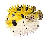 Safari Ltd  Incredible Creatures Pufferfish
