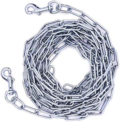 homeward bound golden retriever