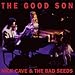 The Good Son