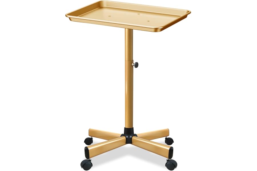Retain Time Premium Aluminum Salon Tray, Sturdy Corrosion-Resistant Adjustable Tray is Used for Salon Tray on Wheels, Salon Tool/Color Tray, Beauty Spa Tray, Dentist Tray, Etc.…(Gold)