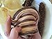 Alaska Red Dried Sea Cucumber-natural Sun Dried(Large)1lb, Grade AAA