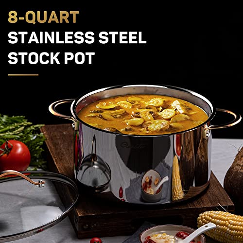 Ciwete 8 Quart Stock Pot, 3 Ply Stainless Steel Cooking Stock Pot with Lid, 8 QT Soup Pot with