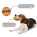 Dog's Chew Toy Dogs Teeth Cleaning Toy [Bite Resistant][Non-Toxic Soft]Jakpak Dog Chew Toys and Teeth Cleaning Balls Teething Rubber Bones for Pet Funny Chew Rugby Football Toy for Dogs Orange