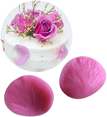 gangnumskythaii 3D Molds Cake Bakery Tools Maker Baking Cooking Icing Bakeware pastry Accessories Indoor Outdoor Camping (TypeM7)