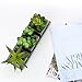 MyGift Set of 3 Realistic Artificial Succulent Plants w/Rustic Style Wood Square Pots & Rectangular Tray