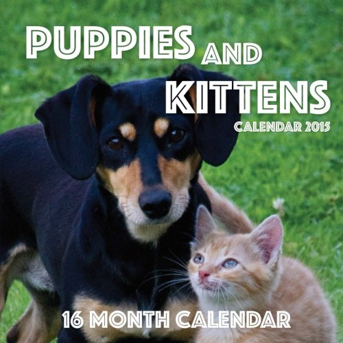 Puppies and Kittens Calendar 2015: 16 Month Calendar