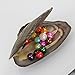 Twin Pearls Freshwater Cultured Double Love Wish Pearl Oyster with Round Twin Pearl Inside 10 Colors (7-8mm), Valentines Mothers Day Birthday Gifts Pearl Wedding Party (10 Oysters & 20 Pearls)