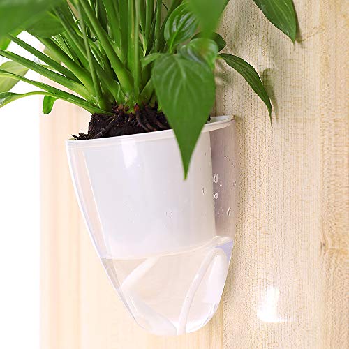 3 Pack Self Watering Wall Planters, Clear Plastic Wall Planters Flower Pots Indoor Outdoor Window for All Plants, Succulents, Herb, African Violets, Flowers (Small)