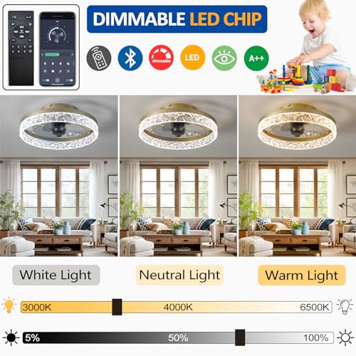 Quiet Ceiling Fans with Lights Remote Control, Modern Lighting Fan Ceiling Light LED Dimmable Ceiling Fan Lamps for Bedroom Living Room, Fan Reversible and 6 Speeds (Gold, 40CM)